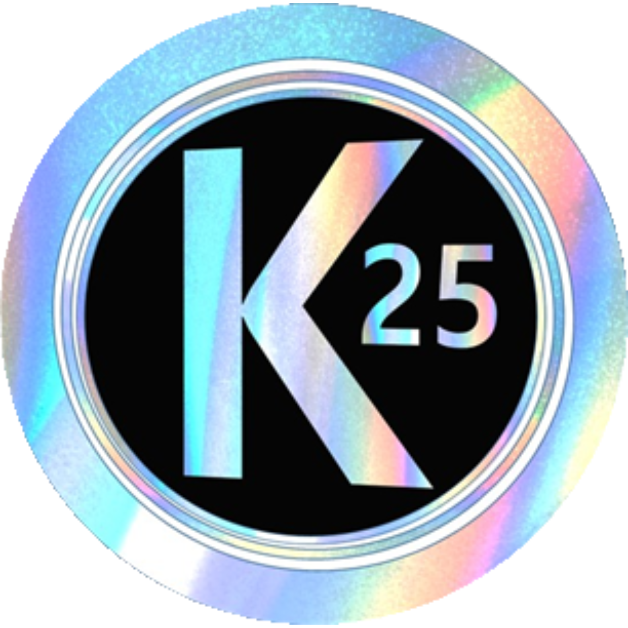 K25 Coin 3D Image